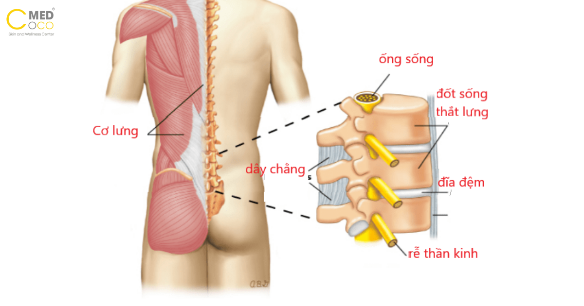dau-that-lung-la-bi-gi